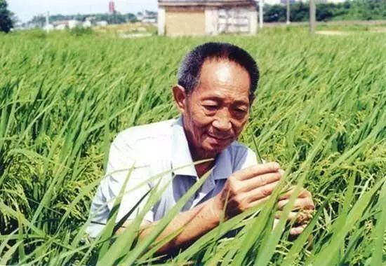 一日三餐,，米香彌漫，飽食者當(dāng)憶袁公,！