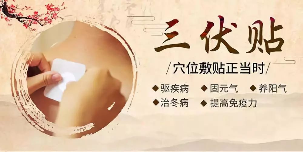 關(guān)于三伏貼,，你了解多少呢？